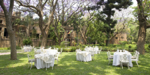 the tea garden